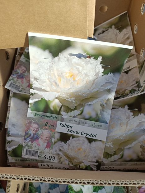 Img.2022.09.26 - A -Magazin