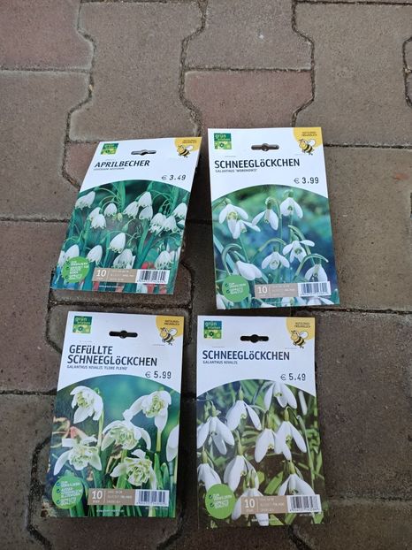 Img.2022.09.26 - A -Magazin