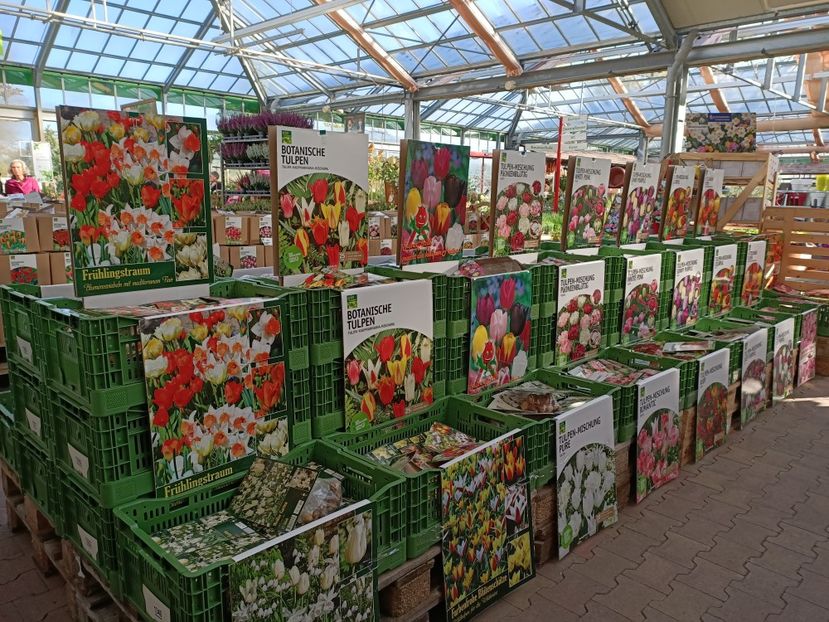 Img.2022.09.26 - A -Magazin