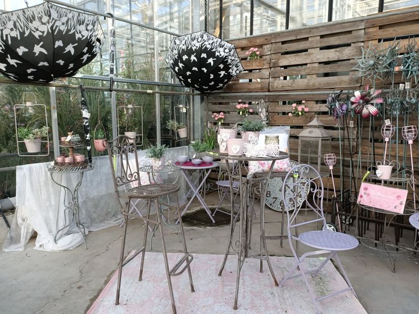 Img.2022.09.26 - A -Magazin