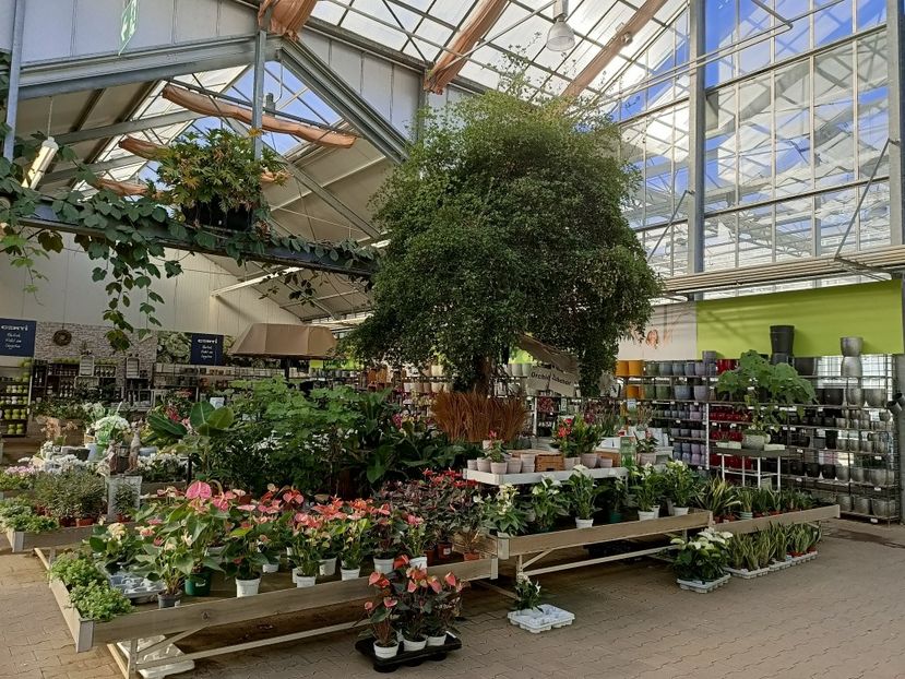 Img.2022.09.26 - A -Magazin