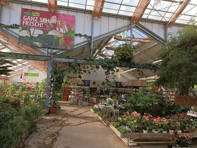 Img.2022.09.26 - A -Magazin