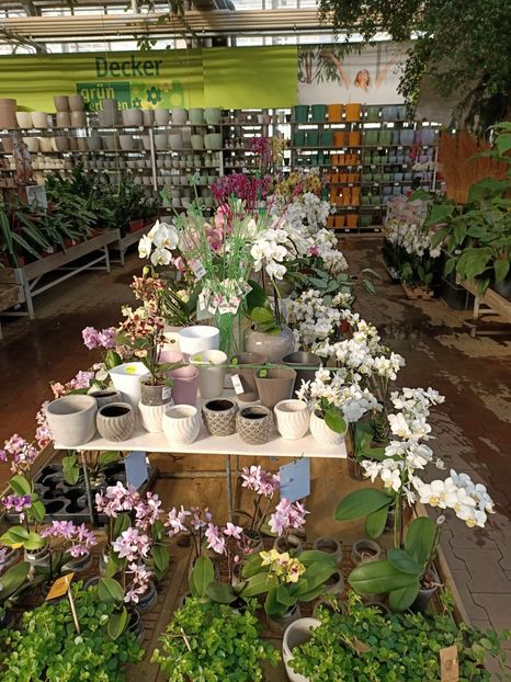 Img.2022.09.26 - A -Magazin