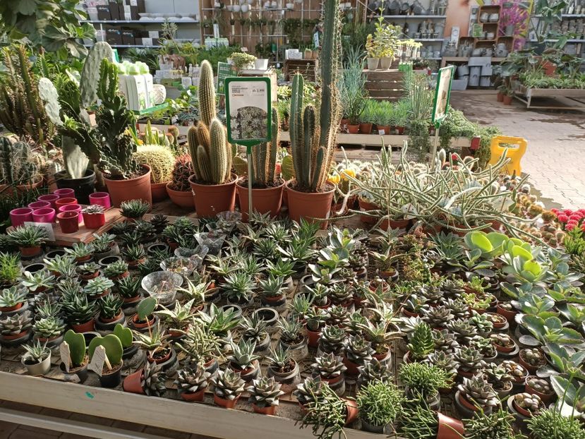 Img.2022.09.26 - A -Magazin