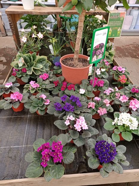 Img.2022.09.26 - A -Magazin