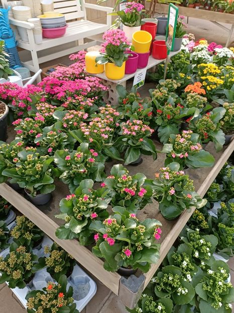 Img.2022.09.26 - A -Magazin