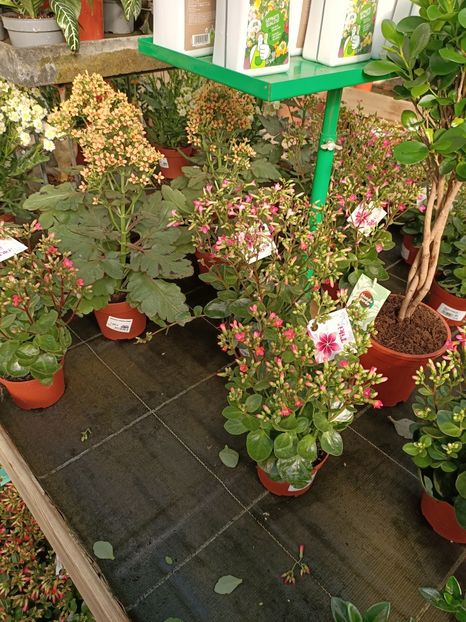 Img.2022.09.26 - A -Magazin