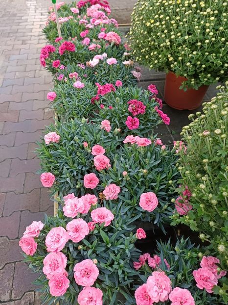 Img.2022.09.26 - A -Magazin