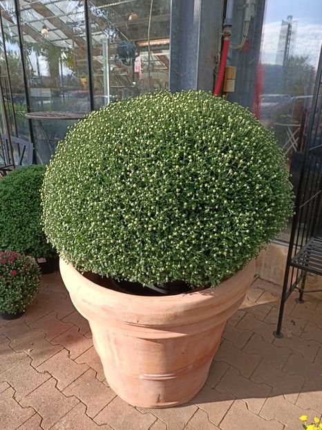 Img.2022.09.26 - A -Magazin