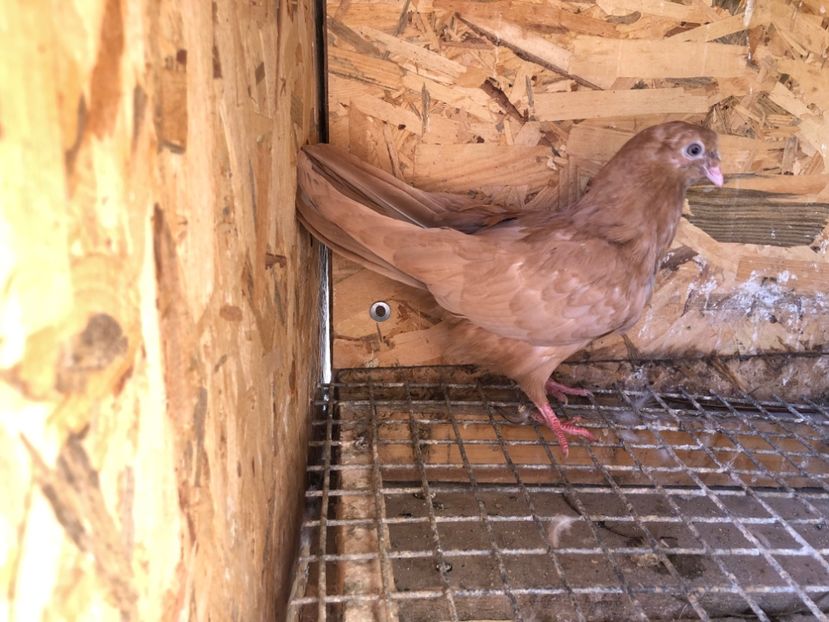 5048450/18 - 5- lot zbor 2022