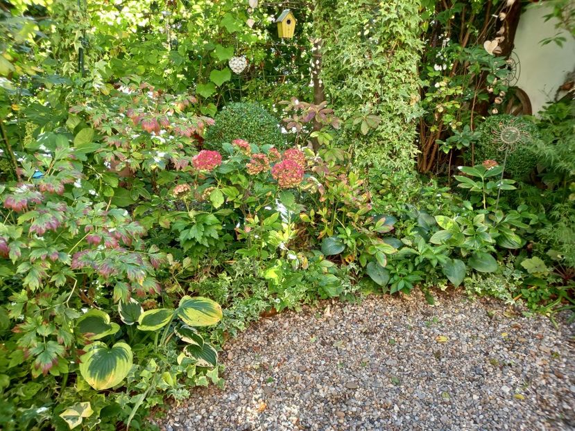  - Grădina 2022 continuare 3