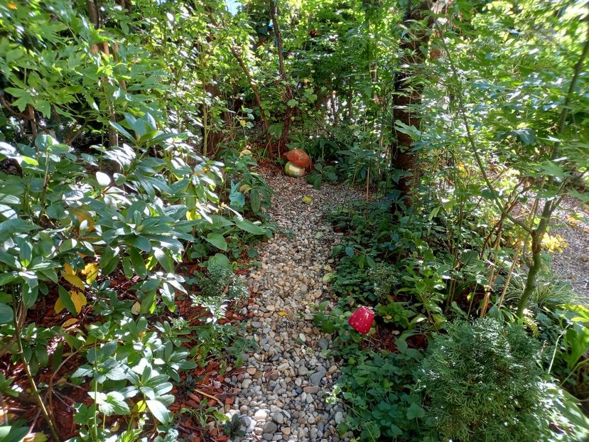  - Grădina 2022 continuare 3