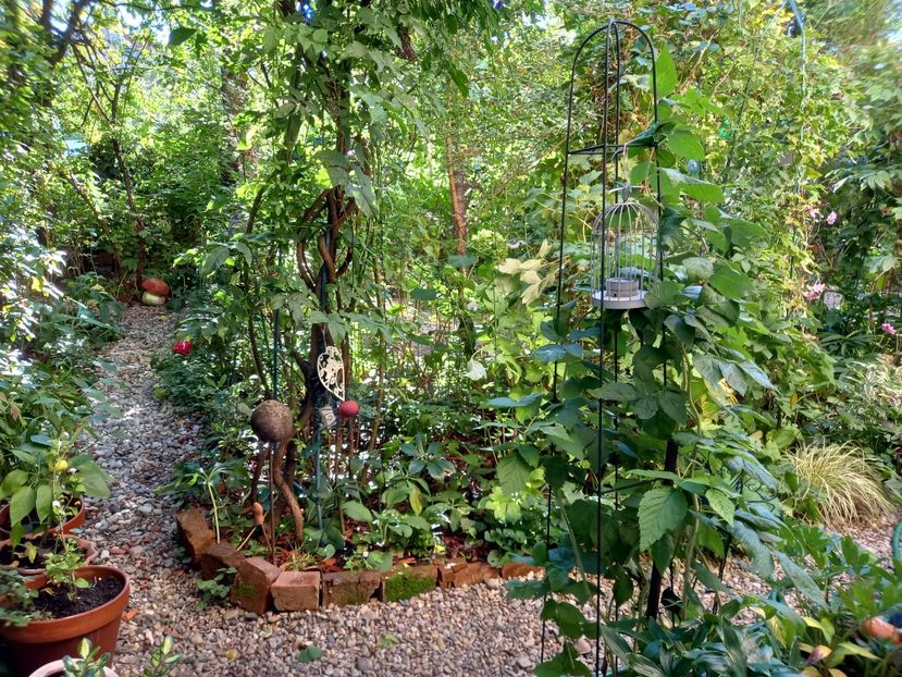  - Grădina 2022 continuare 3