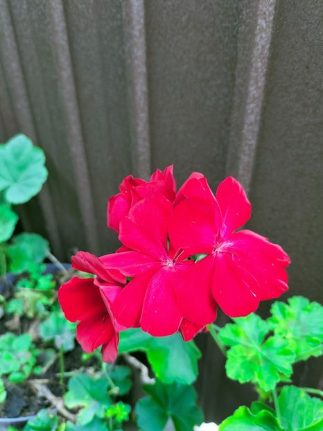 IMG20220929091846 - Septembrie 2022 vol 2