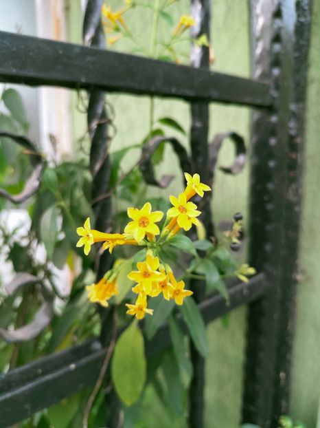 IMG20220929091651 - Septembrie 2022 vol 2