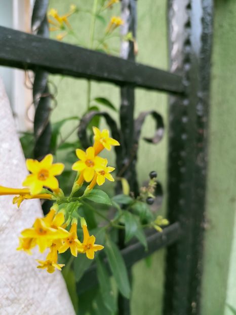 IMG20220929091644 - Septembrie 2022 vol 2