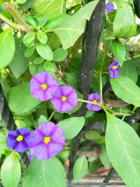 IMG20220929091639 - Septembrie 2022 vol 2