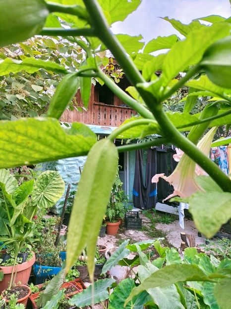 IMG20220929091435 - Septembrie 2022 vol 2