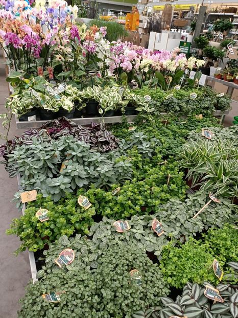 Img.2022.09.29 - Magazinul