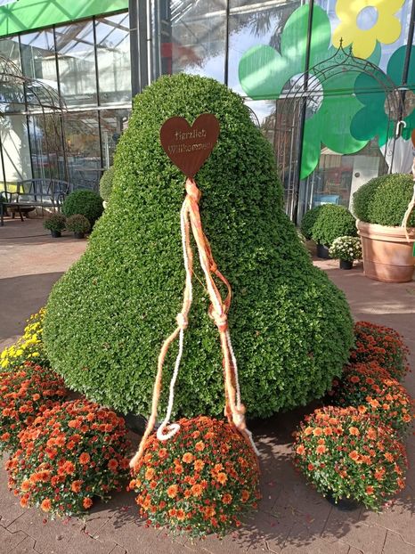 Img.2022.09.26 - Magazinul 2