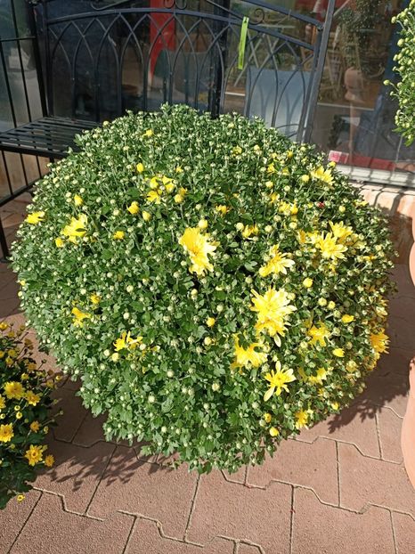 Img.2022.09.26 - Magazinul 2