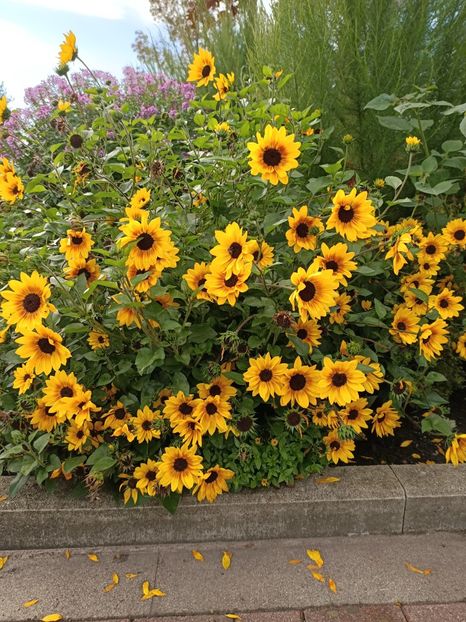 Img.2022.09.26 - Magazinul 2