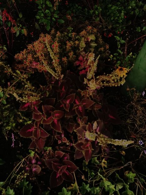 Img.2022.09.26 - Magazinul 2