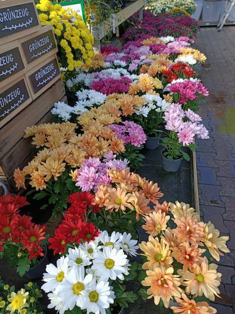 Img.2022.09.26 - Magazinul 2