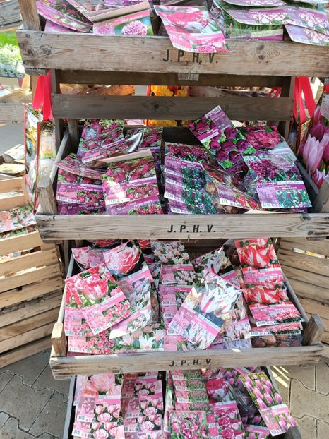 Img.2022.09.26 - Magazinul 2