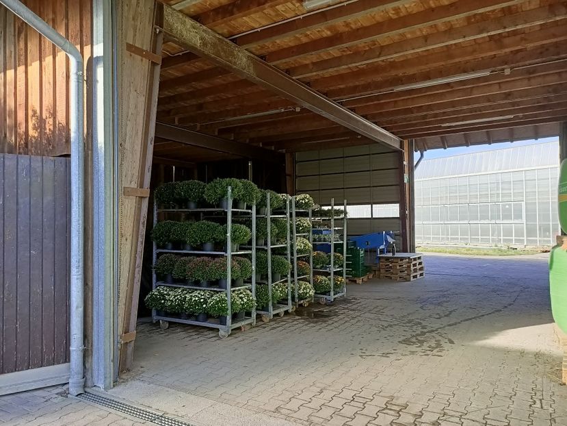 Img.2022.09.26 - Magazinul 2