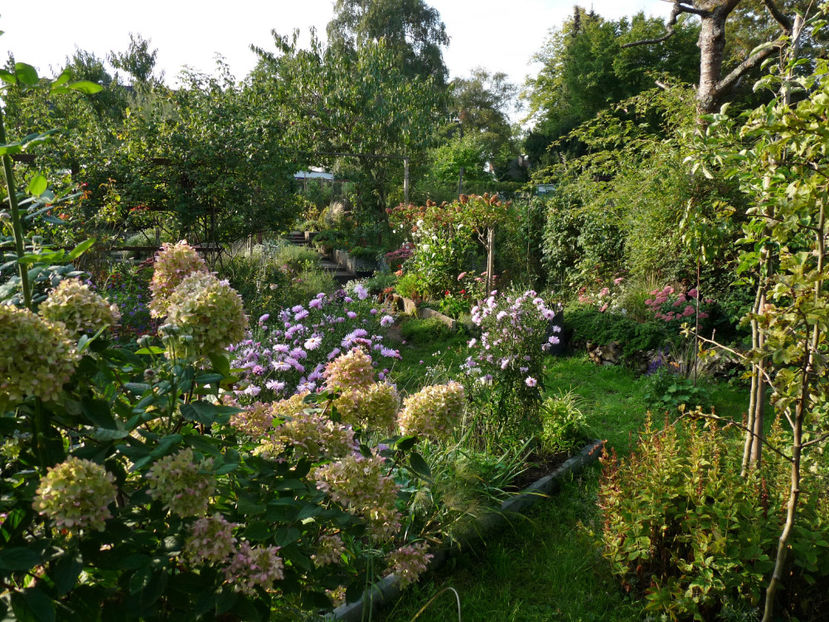  - 2022 - 03 - Toamna