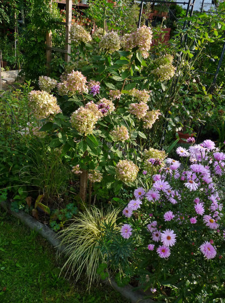  - 2022 - 03 - Toamna