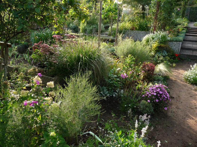  - 2022 - 03 - Toamna