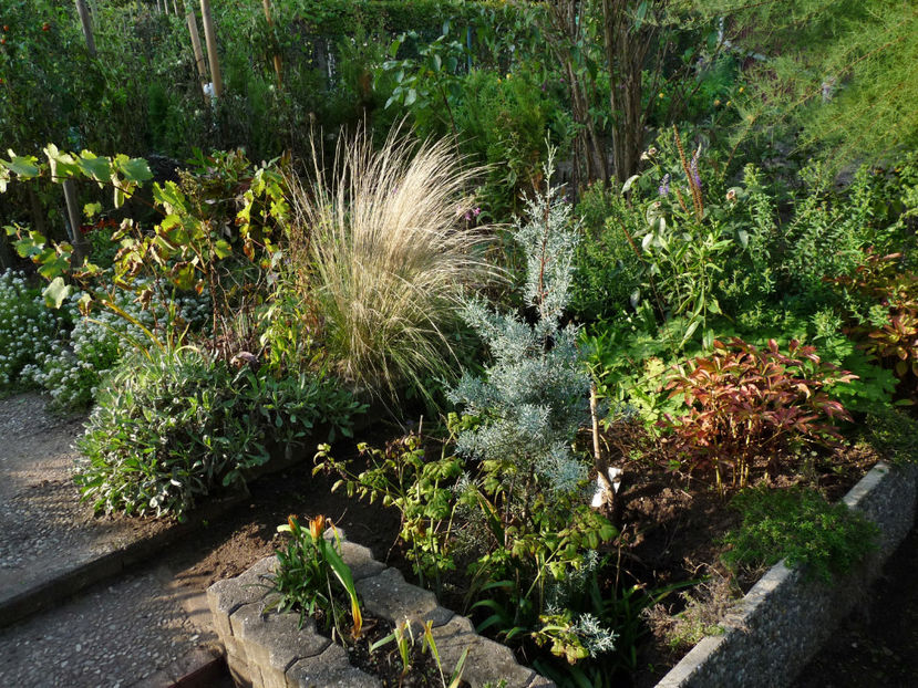  - 2022 - 03 - Toamna