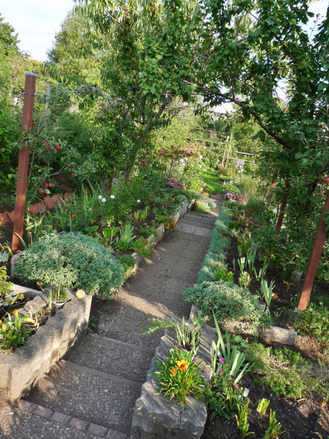  - 2022 - 03 - Toamna