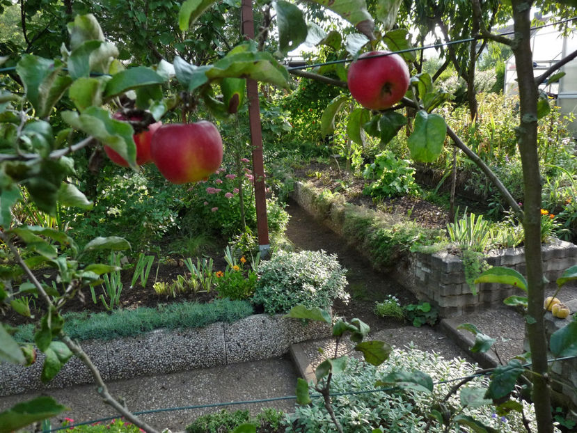  - 2022 - 03 - Toamna