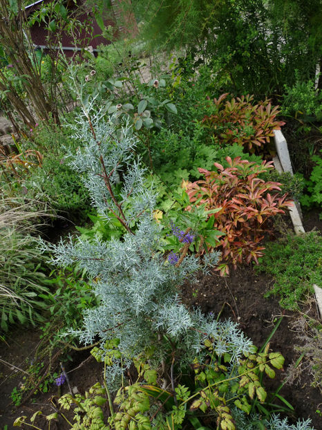  - 2022 - 03 - Toamna