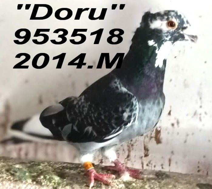 2014.953518.m 2014 - 2 MATCA 2023