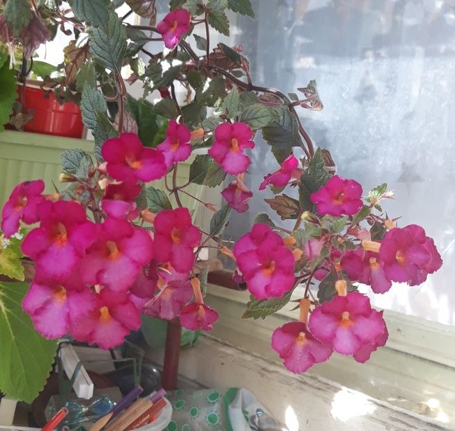  - 0001 2022 - Chancey Marie xA