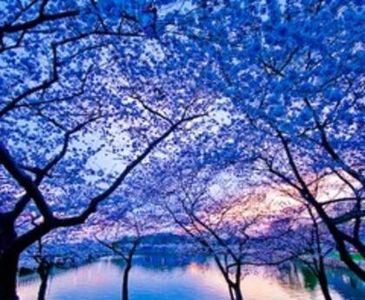 66512110_QUYPUWP-1 - photos