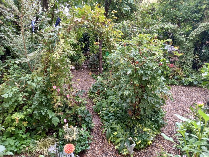  - Grădina 2022 continuare 3