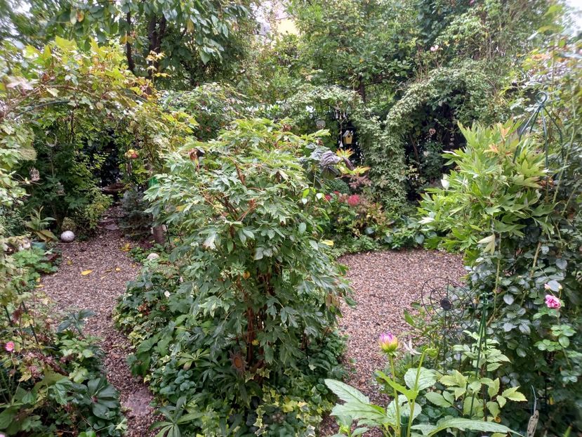 spatele casei - Grădina 2022 continuare 3