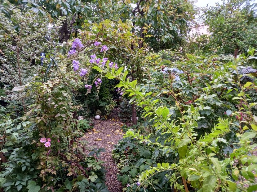  - Grădina 2022 continuare 3