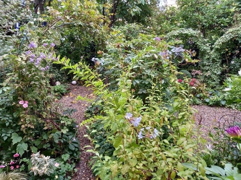  - Grădina 2022 continuare 3