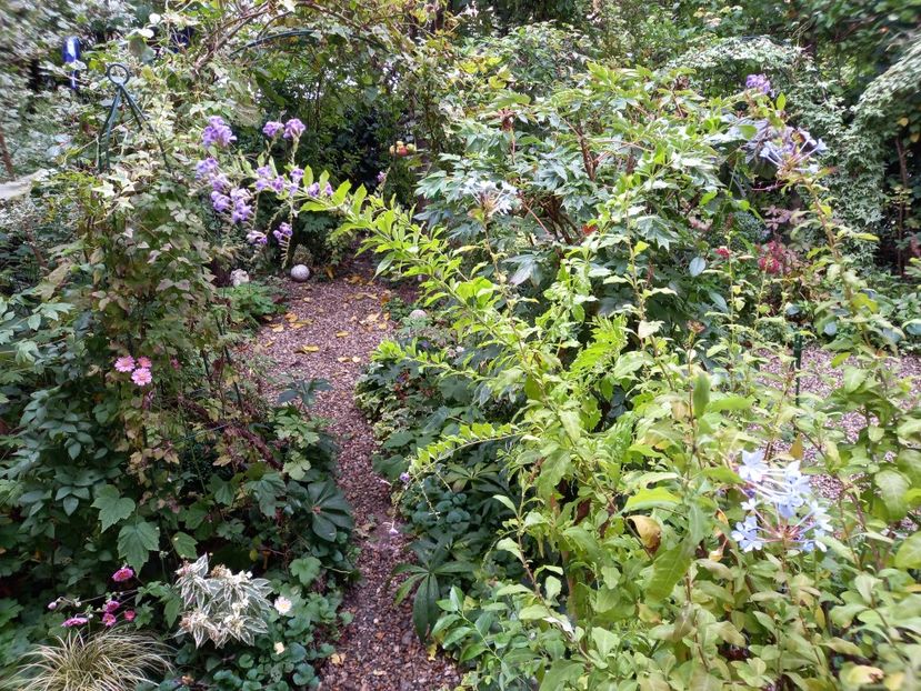  - Grădina 2022 continuare 3