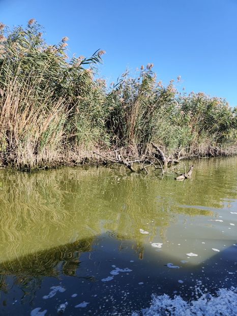 delta1 - Vacanta in Delta Dunarii