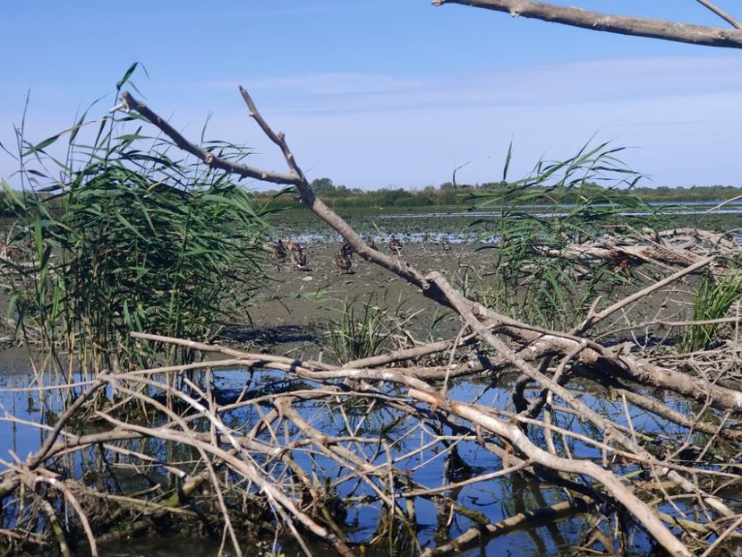 delta5 - Vacanta in Delta Dunarii