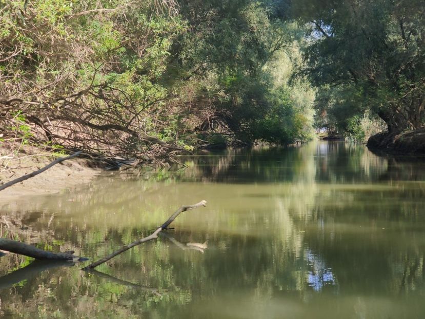 delta6 - Vacanta in Delta Dunarii