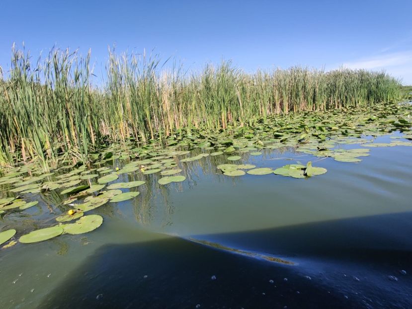 delta7 - Vacanta in Delta Dunarii