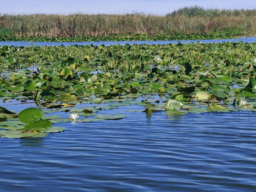 delta8 - Vacanta in Delta Dunarii